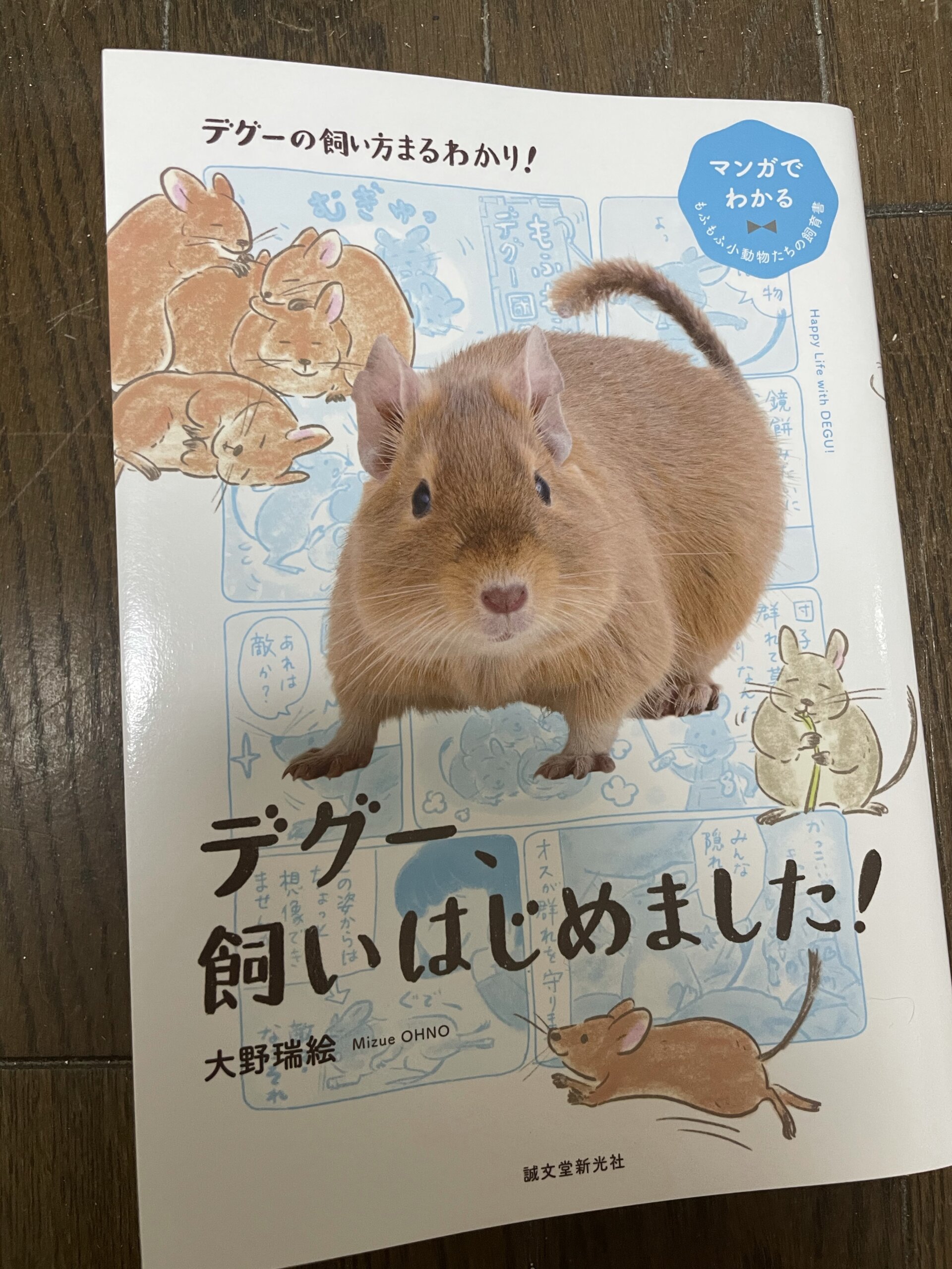 ヤフオク! - デグー完全飼育 飼い方の基本からコミュニケーシ... | pablofeitosa.com.br